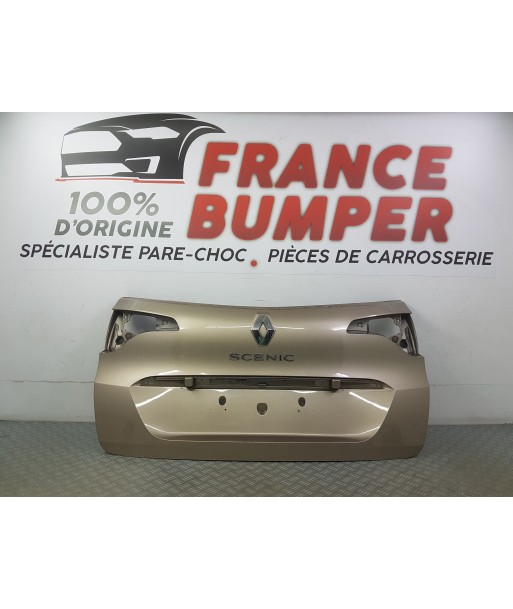 GARNITURE EXT HAYON RENAULT SCENIC 4 (MODELE COURT) france