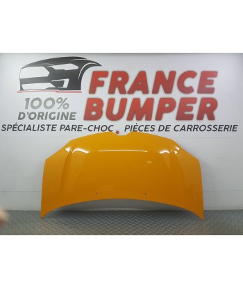 CAPOT RENAULT TWINGO 3 NEUF JAUNE MANGO online